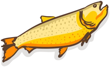 Dorado
