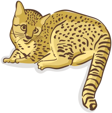 Gato montés